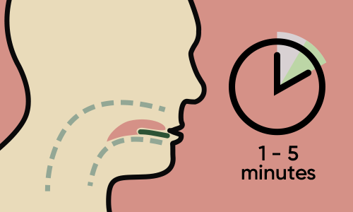 Illustration schématique d'un timbre oral de cannabis se dissolvant sous la langue, avec une horloge indiquant une durée de 1 à 5 minutes pour la dissolution complète.