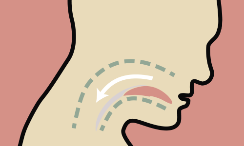 Illustration schématique d'une tête de profil montrant le trajet de la consommation sublinguale, avec des flèches pointant vers la langue et la gorge, symbolisant l'absorption de substances par les muqueuses buccales
